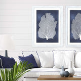 Paragon Sea Fan on Blue I Blue 45 X 33 X 1 Wall Art