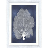 Paragon Sea Fan on Blue II Blue 45 X 33 X 1 Wall Art