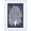 Paragon Sea Fan on Blue II Blue 45 X 33 X 1 Wall Art