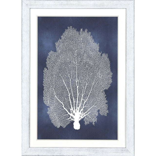 Paragon Sea Fan on Blue II Blue 45 X 33 X 1 Wall Art