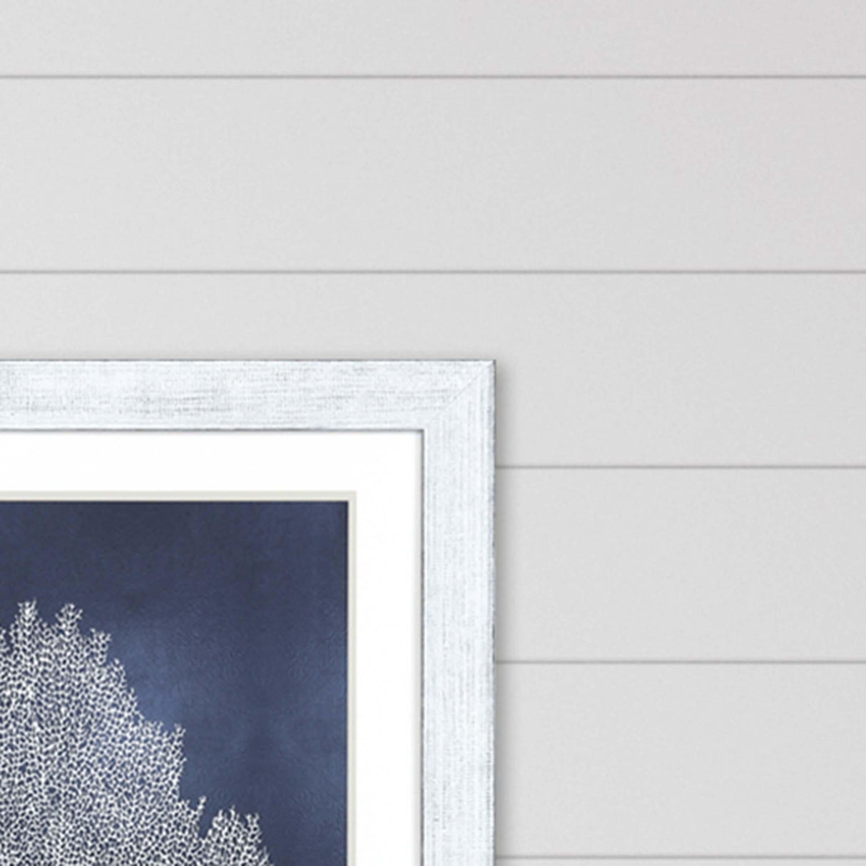 Paragon Sea Fan on Blue II Blue 45 X 33 X 1 Wall Art