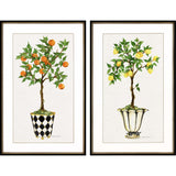 Paragon Fruit Topiary S/2 Multi 39 X 25 X 2 Wall Art