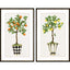 Paragon Fruit Topiary S/2 Multi 39 X 25 X 2 Wall Art