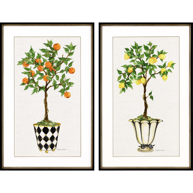 Paragon Fruit Topiary S/2 Multi 39 X 25 X 2 Wall Art