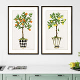 Paragon Fruit Topiary S/2 Multi 39 X 25 X 2 Wall Art