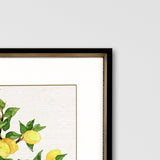 Paragon Fruit Topiary S/2 Multi 39 X 25 X 2 Wall Art