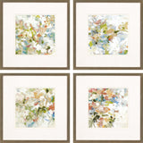 Paragon Floral Blush S/4 Multi 17 X 17 X 1 Wall Art