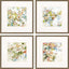 Paragon Floral Blush S/4 Multi 17 X 17 X 1 Wall Art