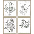 Paragon Floral Wild S/4 Neutral 21 X 17 X 1 Wall Art