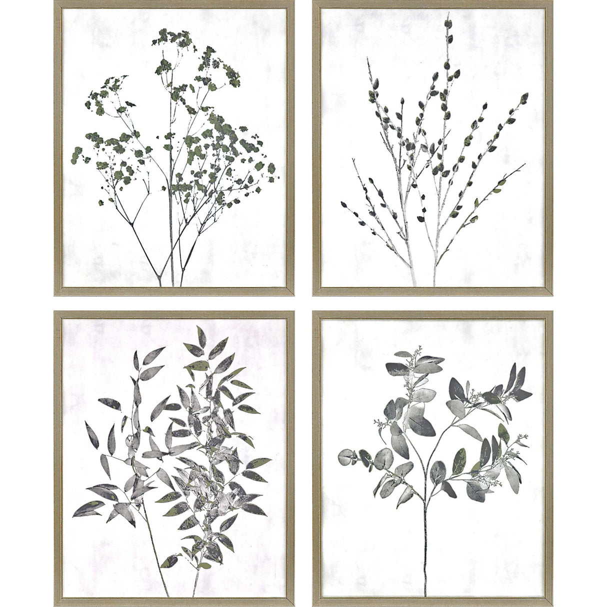Paragon Floral Wild S/4 Neutral 21 X 17 X 1 Wall Art