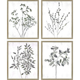 Paragon Floral Wild S/4 Neutral 21 X 17 X 1 Wall Art