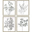 Paragon Floral Wild S/4 Neutral 21 X 17 X 1 Wall Art