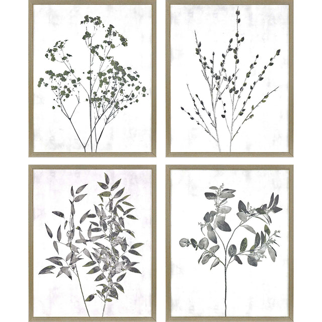 Paragon Floral Wild S/4 Neutral 21 X 17 X 1 Wall Art