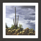 Paragon Saguaro Centurion Blue 41 X 41 X 2 Wall Art