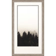 Paragon Misty Peak II Neutral 50 X 28 X 2 Wall Art