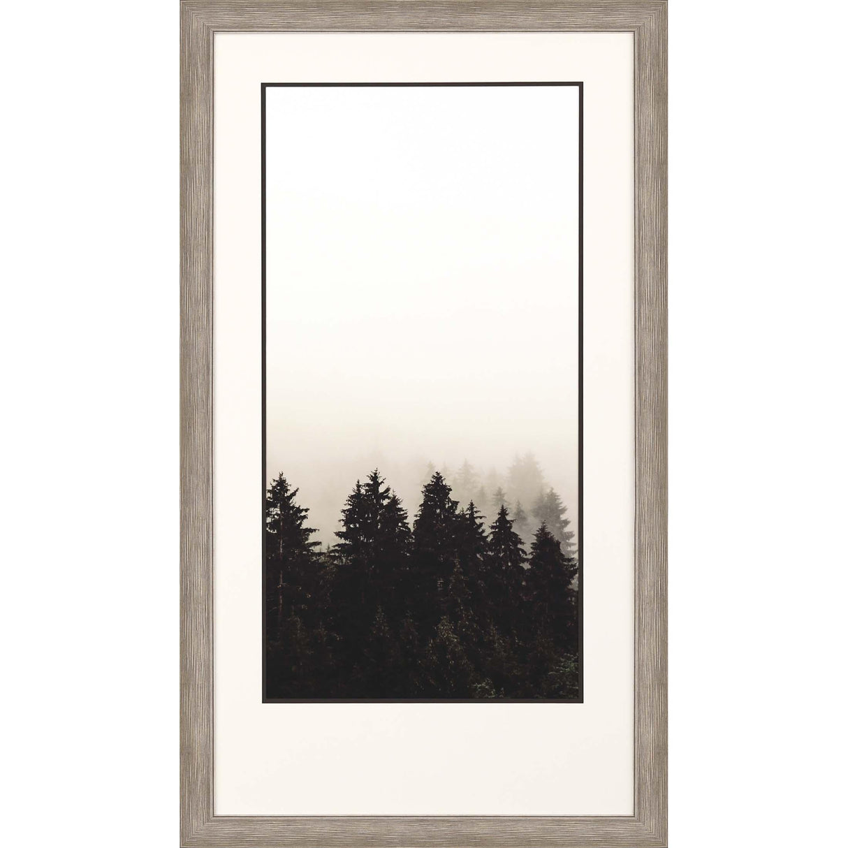 Paragon Misty Peak II Neutral 50 X 28 X 2 Wall Art
