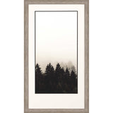 Paragon Misty Peak II Neutral 50 X 28 X 2 Wall Art