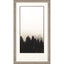 Paragon Misty Peak II Neutral 50 X 28 X 2 Wall Art