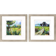 Paragon Wildflower Meadow S/2 Green 26 X 26 X 2 Wall Art