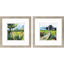 Paragon Wildflower Meadow S/2 Green 26 X 26 X 2 Wall Art