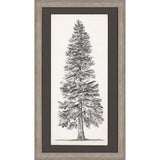 Paragon Tree Sketch I Brown 46 X 26 X 2 Wall Art