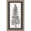 Paragon Tree Sketch I Brown 46 X 26 X 2 Wall Art