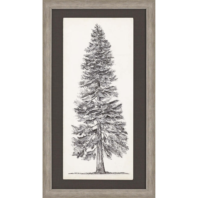 Paragon Tree Sketch I Brown 46 X 26 X 2 Wall Art
