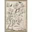Paragon Shimmering Garden II Neutral 39 X 27 X 2 Wall Art