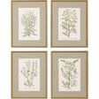 Paragon Botanical Plants S/4 Green 26 X 20 X 2 Wall Art