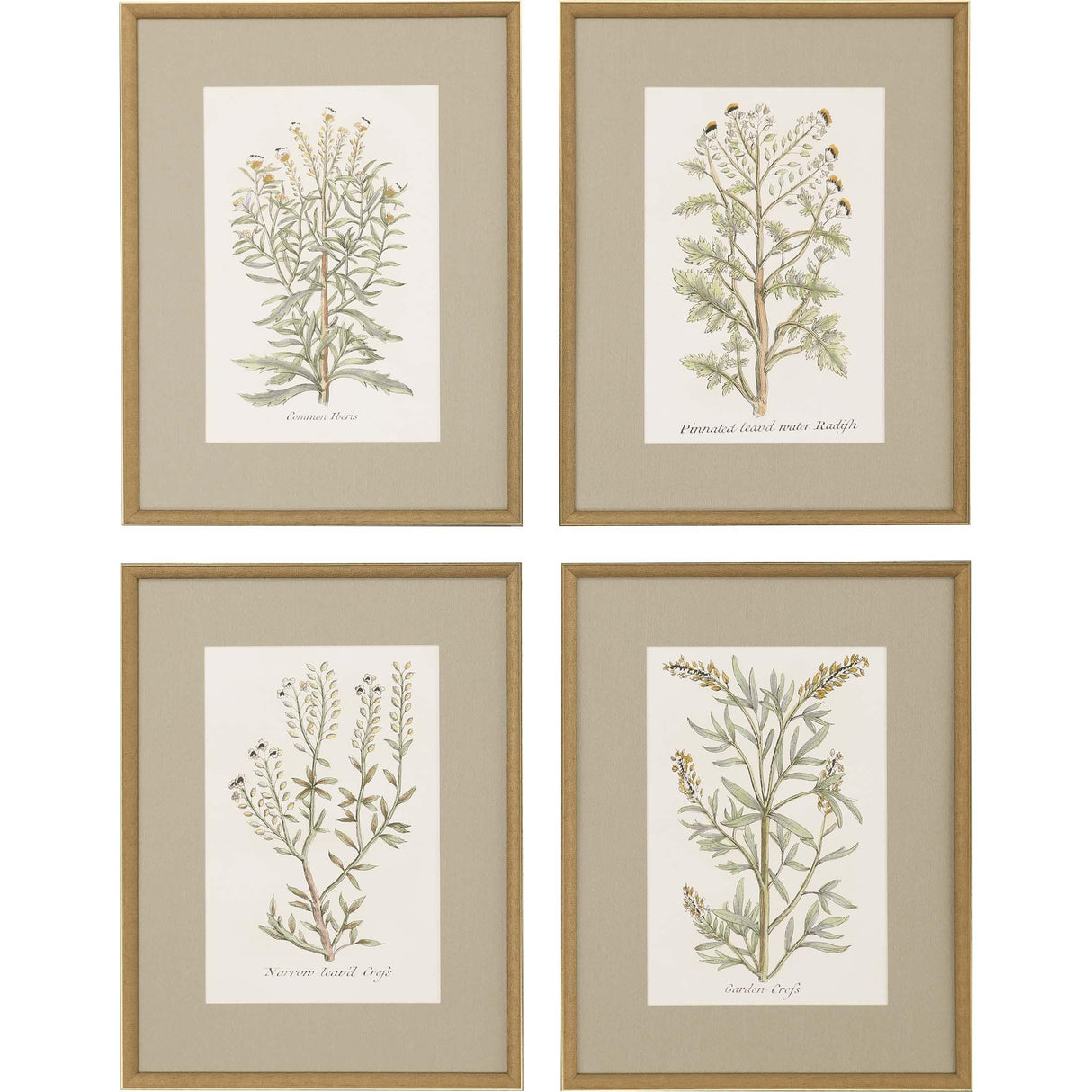 Paragon Botanical Plants S/4 Green 26 X 20 X 2 Wall Art