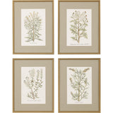 Paragon Botanical Plants S/4 Green 26 X 20 X 2 Wall Art