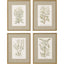 Paragon Botanical Plants S/4 Green 26 X 20 X 2 Wall Art