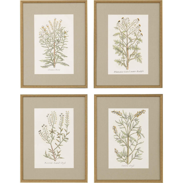 Paragon Botanical Plants S/4 Green 26 X 20 X 2 Wall Art
