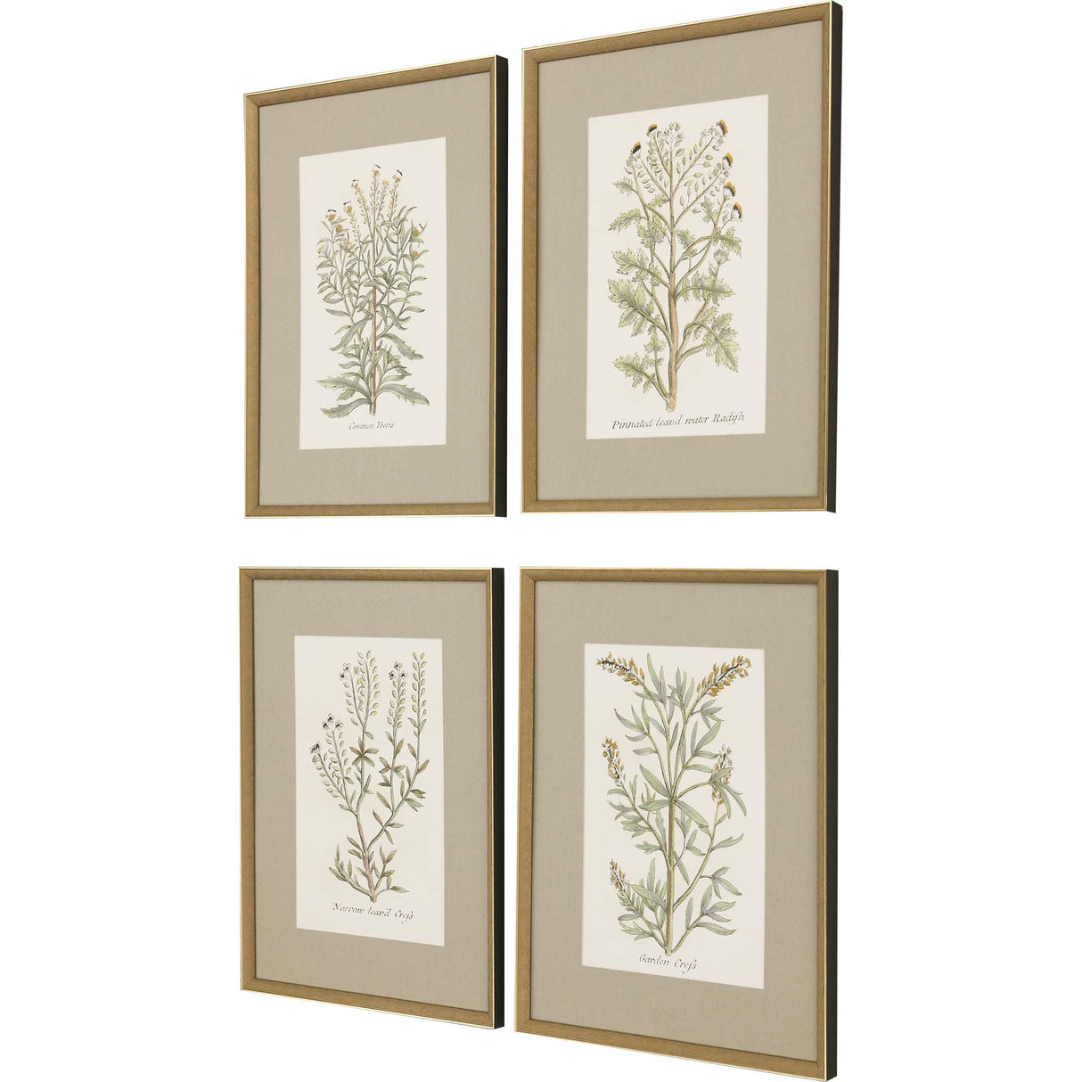 Paragon Botanical Plants S/4 Green 26 X 20 X 2 Wall Art