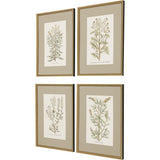 Paragon Botanical Plants S/4 Green 26 X 20 X 2 Wall Art