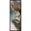 Paragon Earthly Secrets II Multi 62 X 22 X 3 Wall Art