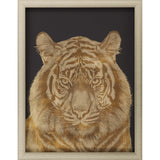 Paragon Tiger Portrait Orange 35 X 27 X 2 Wall Art