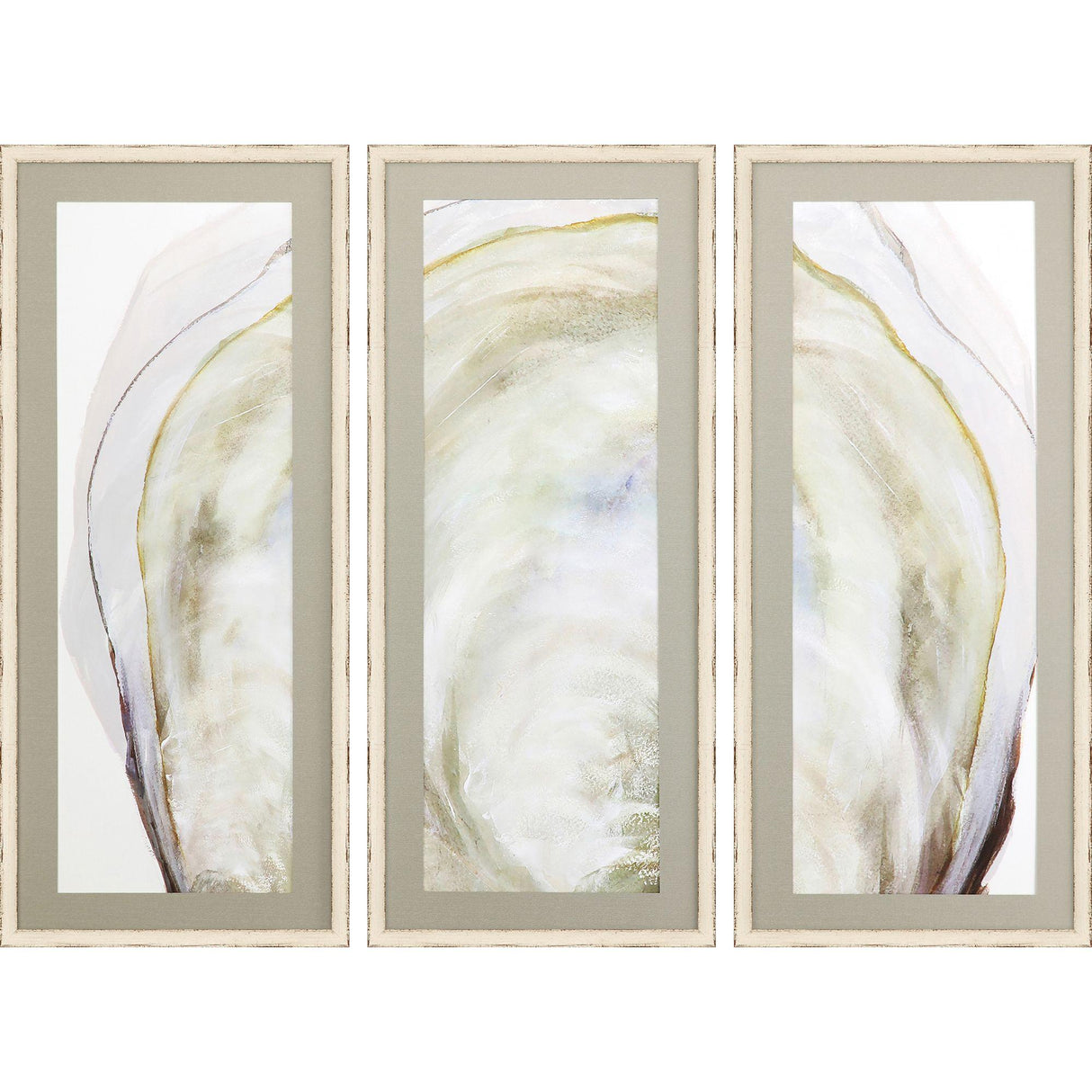 Paragon Oyster Shell S/3 Yellow 40 X 17 X 2 Wall Art