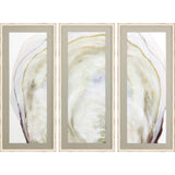 Paragon Oyster Shell S/3 Yellow 40 X 17 X 2 Wall Art