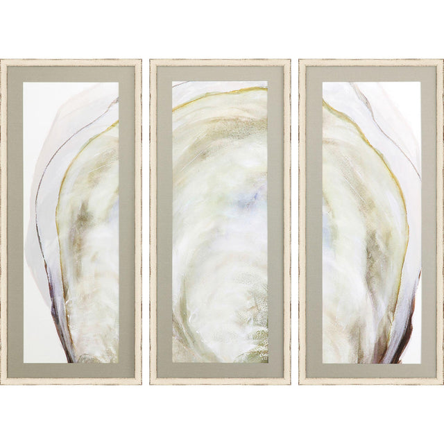 Paragon Oyster Shell S/3 Yellow 40 X 17 X 2 Wall Art