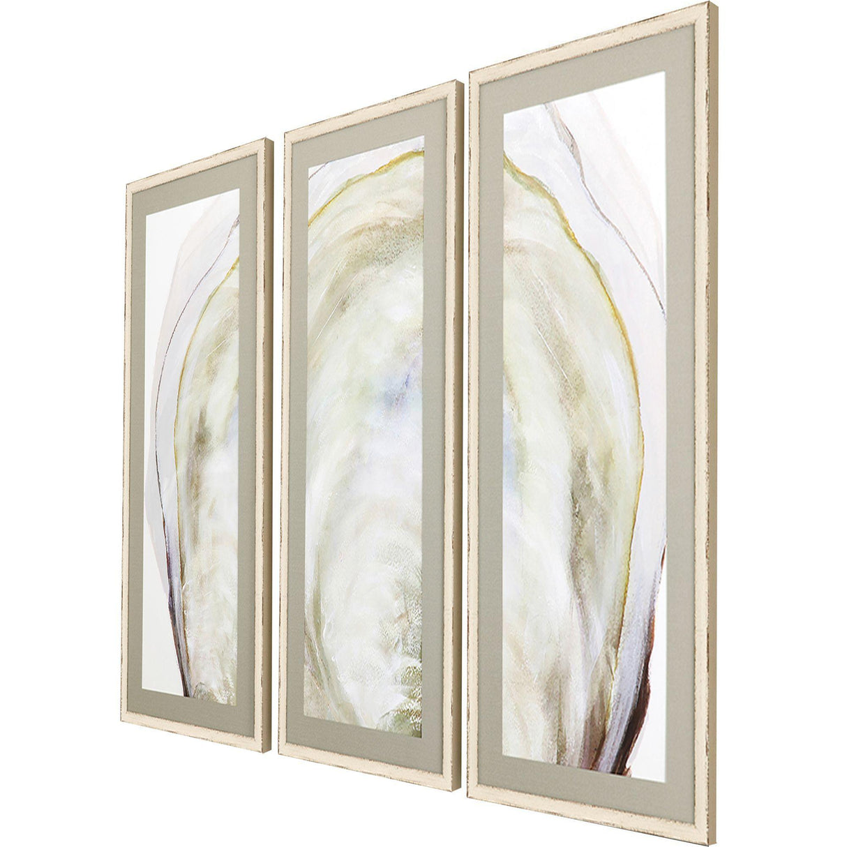 Paragon Oyster Shell S/3 Yellow 40 X 17 X 2 Wall Art
