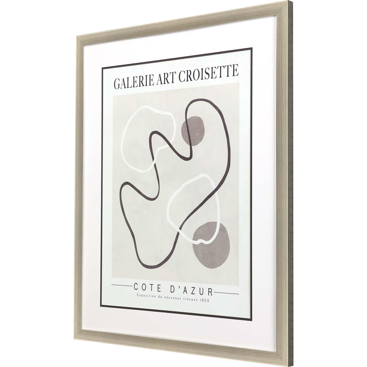 Paragon Les Fossiles Gray 42 X 34 X 2 Wall Art