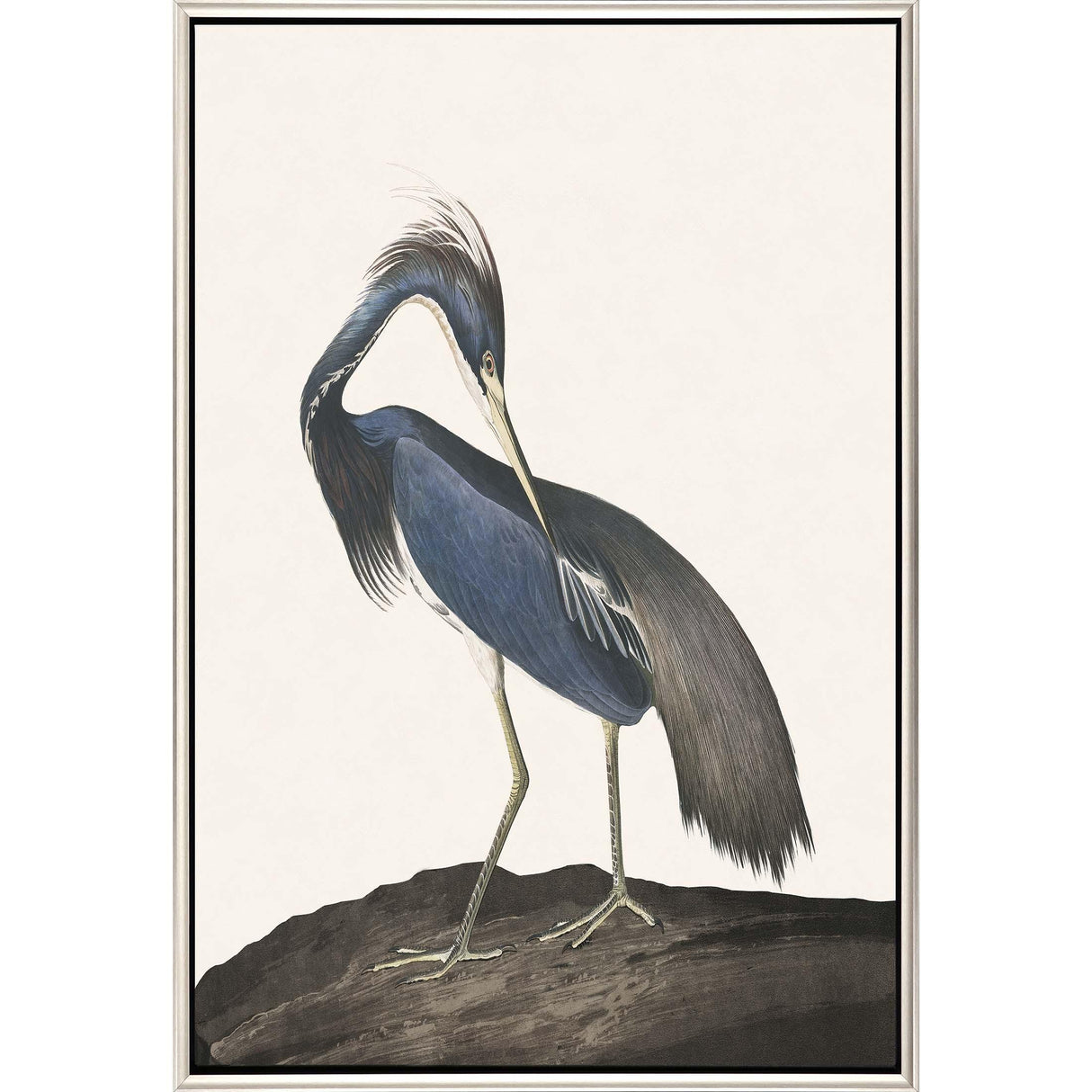 Paragon Great Heron II Blue 50 X 34 X 3 Wall Art