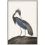 Paragon Great Heron II Blue 50 X 34 X 3 Wall Art