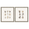 Paragon Shell Series S/2 Beige 18 X 16 X 2 Wall Art
