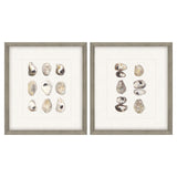 Paragon Shell Series S/2 Beige 18 X 16 X 2 Wall Art