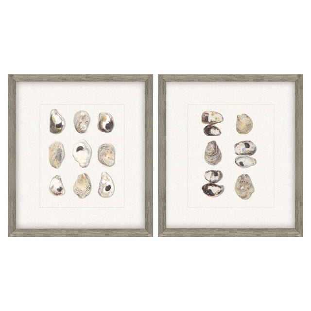 Paragon Shell Series S/2 Beige 18 X 16 X 2 Wall Art