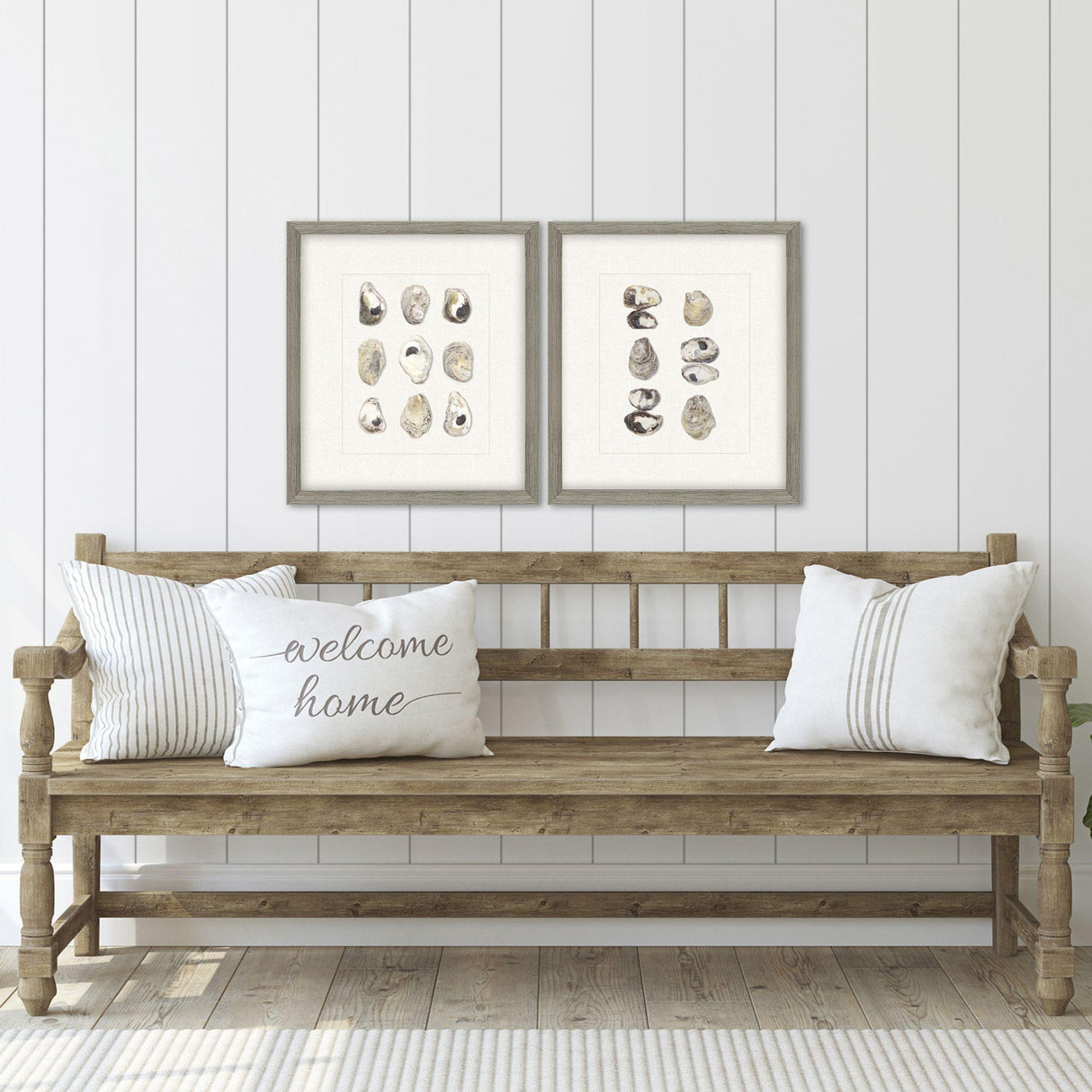 Paragon Shell Series S/2 Beige 18 X 16 X 2 Wall Art
