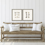 Paragon Shell Series S/2 Beige 18 X 16 X 2 Wall Art