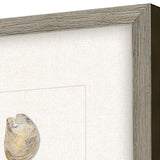 Paragon Shell Series S/2 Beige 18 X 16 X 2 Wall Art